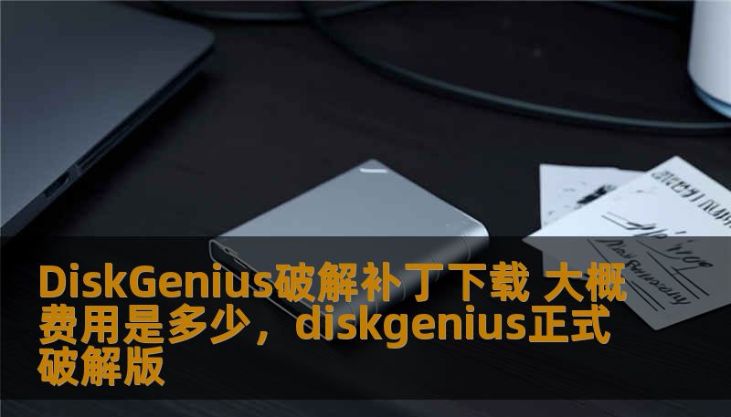 DiskGenius破解补丁下载 大概费用是多少，diskgenius正式破解版