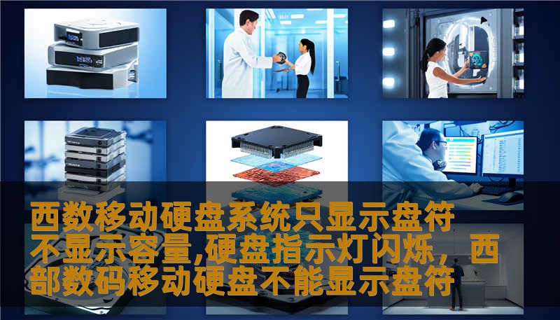 西数移动硬盘系统只显示盘符不显示容量,硬盘指示灯闪烁，西部数码移动硬盘不能显示盘符