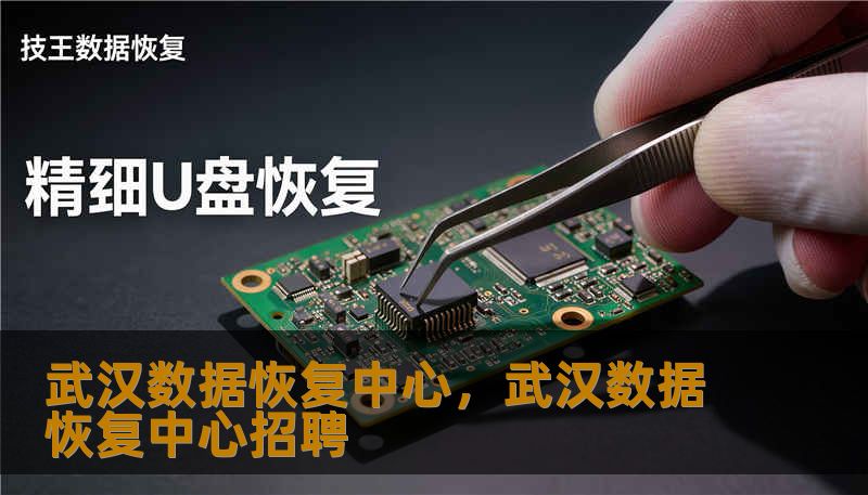 武汉数据恢复中心,武汉数据恢复中心招聘 武汉数据恢复中心,武汉数据恢复中心招聘
