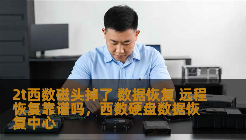 2t西数磁头掉了 数据恢复 远程恢复靠谱吗,西数硬盘数据恢复中心 2t西数磁头掉了 数据恢复 远程恢复靠谱吗,西数硬盘数据恢复中心
