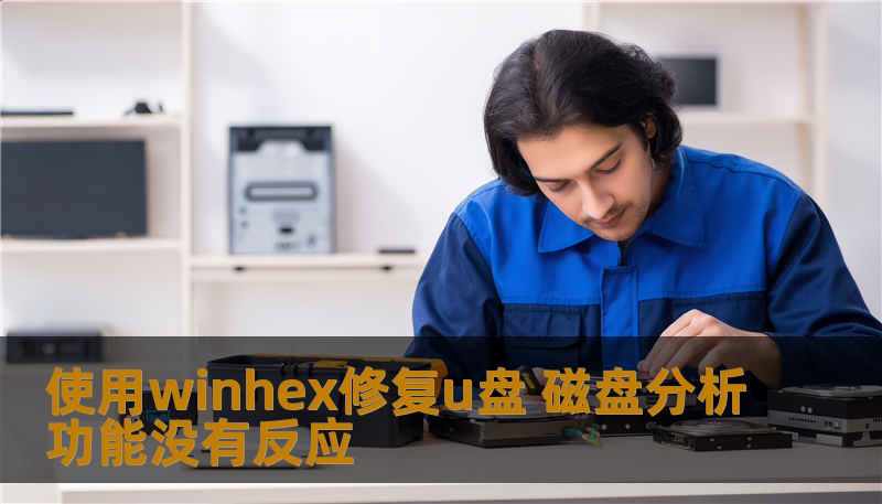使用winhex修复u盘 磁盘分析功能没有反应 使用winhex修复u盘 磁盘分析功能没有反应
