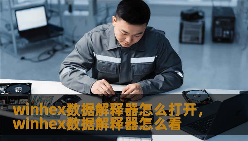 winhex数据解释器怎么打开,winhex数据解释器怎么看 winhex数据解释器怎么打开,winhex数据解释器怎么看