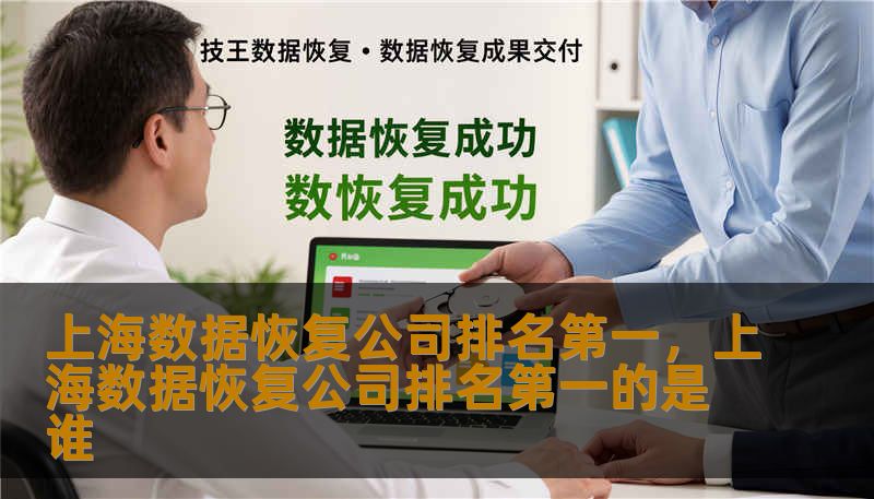上海数据恢复公司排名第一,上海数据恢复公司排名第一的是谁 上海数据恢复公司排名第一,上海数据恢复公司排名第一的是谁
