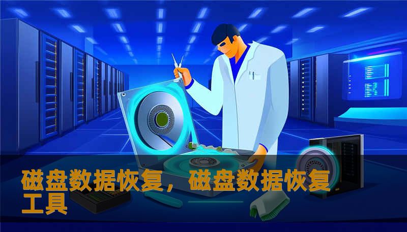 磁盘数据恢复,磁盘数据恢复工具 磁盘数据恢复,磁盘数据恢复工具