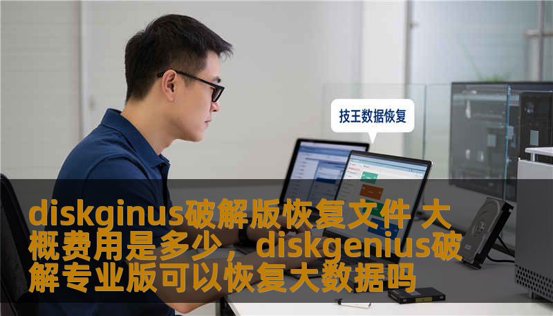 diskginus破解版恢复文件 大概费用是多少，diskgenius破解专业版可以恢复大数据吗