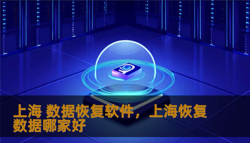 上海 数据恢复软件，上海恢复数据哪家好