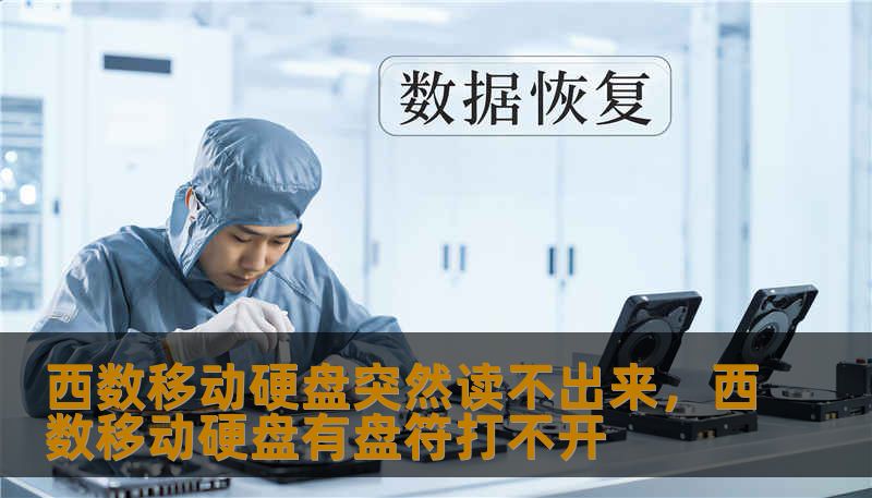 面对西数（WD）移动硬盘突然无法识别、读不出来的绝望时刻，本文将从硬件检测、逻辑修复到数据恢复，全方位解析故障背后的原因，并提供实操性极强的解决方案，助你从容应对数据危机。