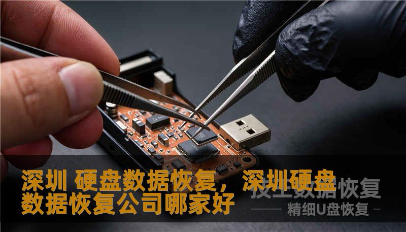 深圳 硬盘数据恢复,深圳硬盘数据恢复公司哪家好 深圳 硬盘数据恢复,深圳硬盘数据恢复公司哪家好