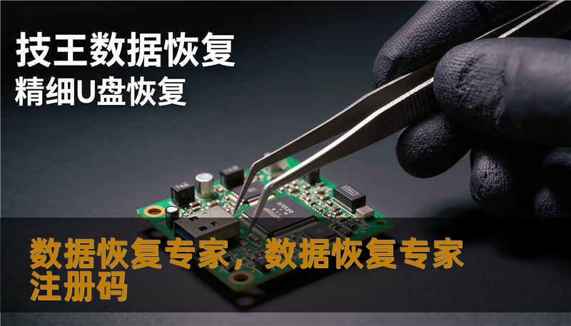数据恢复专家，数据恢复专家注册码