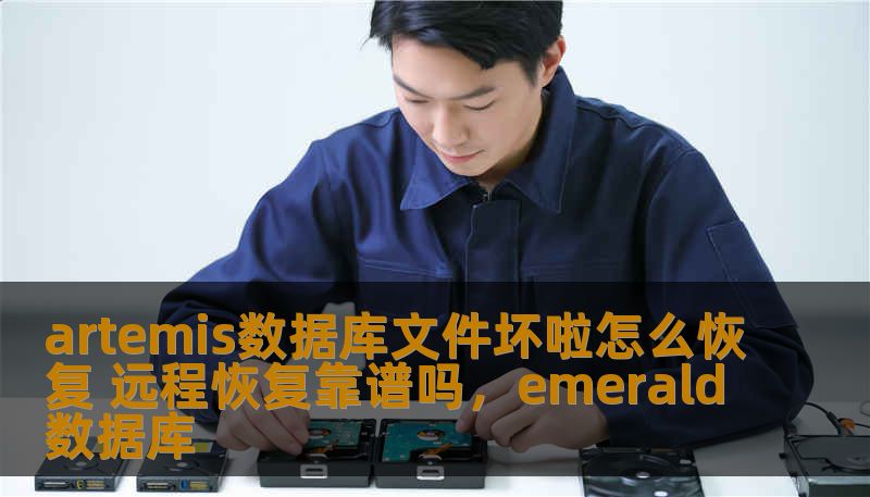 artemis数据库文件坏啦怎么恢复 远程恢复靠谱吗,emerald数据库 artemis数据库文件坏啦怎么恢复 远程恢复靠谱吗,emerald数据库