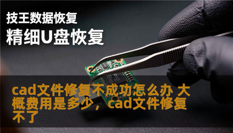 cad文件修复不成功怎么办 大概费用是多少,cad文件修复不了 cad文件修复不成功怎么办 大概费用是多少,cad文件修复不了