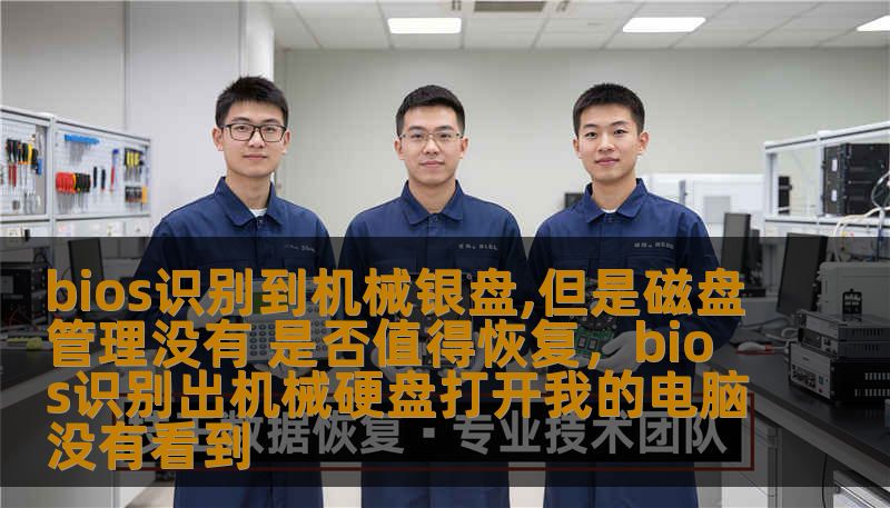 本文深入探讨了当BIOS能识别到机械硬盘，但磁盘管理却无法显示时的可能原因，并分析是否值得尝试恢复数据的方法。适合对硬盘恢复有需求的用户参考。