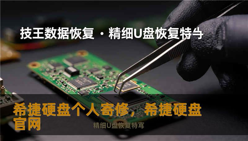 当你的希捷硬盘遭遇故障，数据危在旦夕？本文深度解析希捷官方个人寄修服务的核心优势、避坑指南及数据恢复黑科技，带你体验从“绝望断连”到“数据新生”的完整修护旅程。