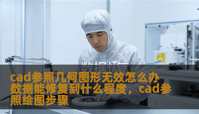 cad参照几何图形无效怎么办 数据能修复到什么程度，cad参照绘图步骤