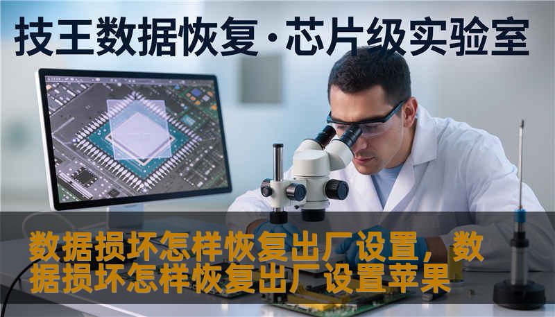 数据损坏怎样恢复出厂设置，数据损坏怎样恢复出厂设置苹果