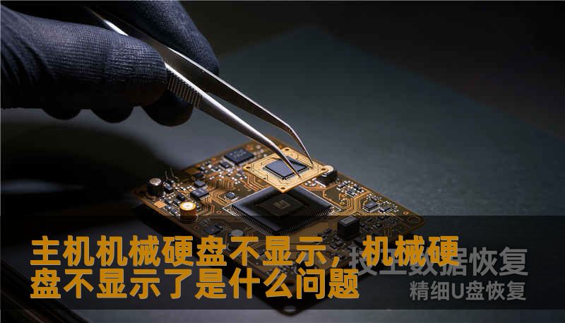 主机机械硬盘不显示，机械硬盘不显示了是什么问题