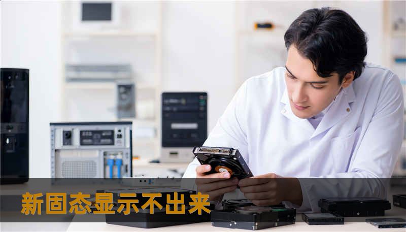 新固态显示不出来