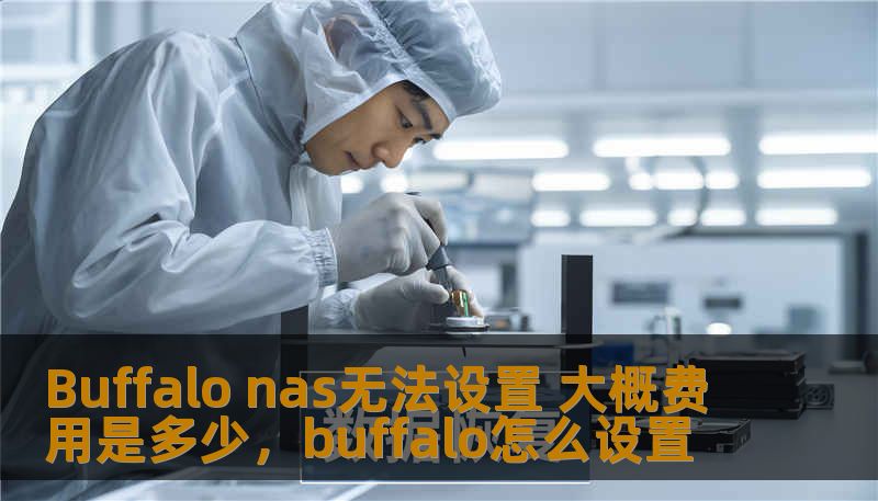 Buffalo nas无法设置 大概费用是多少，buffalo怎么设置