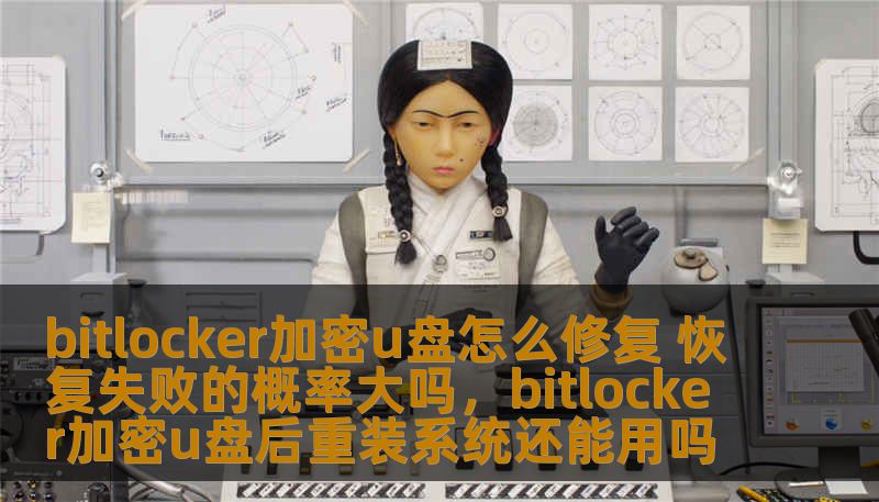 bitlocker加密u盘怎么修复 恢复失败的概率大吗，bitlocker加密u盘后重装系统还能用吗
