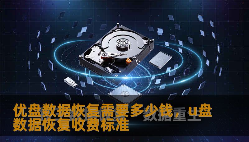 优盘数据恢复需要多少钱，u盘数据恢复收费标准
