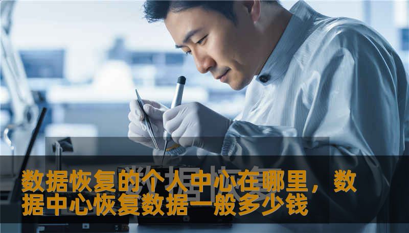 数据恢复的个人中心在哪里，数据中心恢复数据一般多少钱