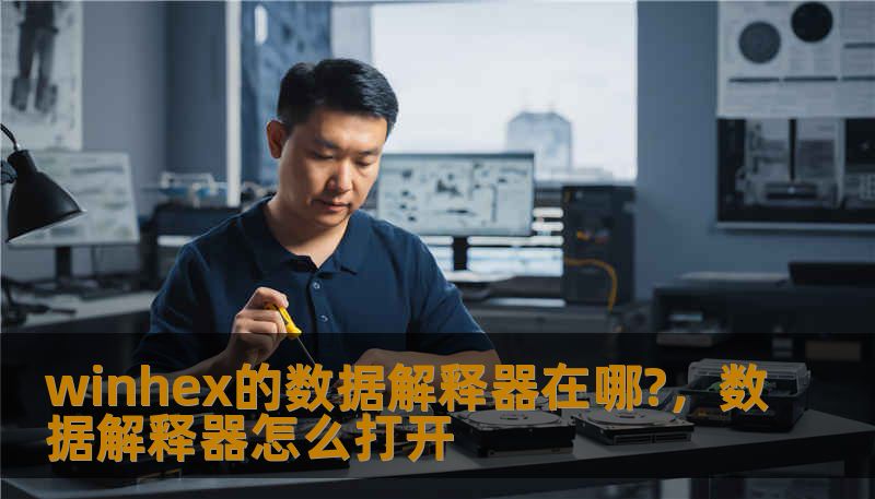 winhex的数据解释器在哪?，数据解释器怎么打开