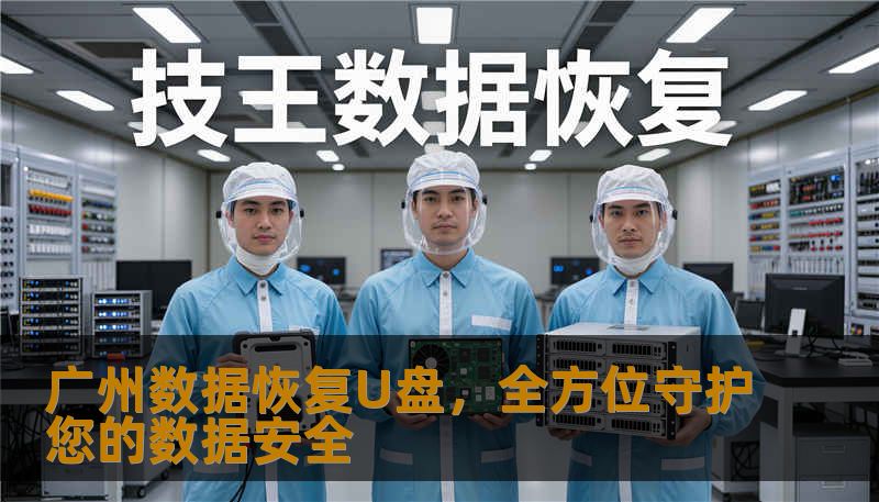 广州数据恢复U盘，全方位守护您的数据安全