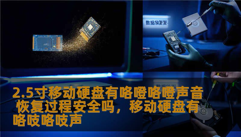 2.5寸移动硬盘有咯噔咯噔声音 恢复过程安全吗，移动硬盘有咯吱咯吱声