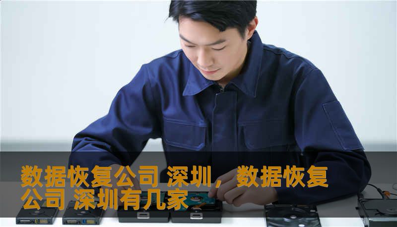 身处深圳这座数字化程度极高的极客之城，数据丢失往往意味着巨大的经济损失或情感断裂。本文深度解析深圳数据恢复行业的门道，带你走进精密实验室，探寻如何在那堆看似冰冷的电子残骸中，重新唤醒那些至关重要的文档、照片与核心代码。