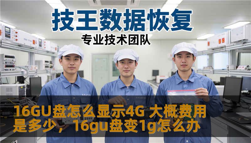 揭开16GU盘如何显示4G的奥秘，深入探讨其工作原理和影响因素，并提供一个关于价格的全面分析，帮助消费者做出更明智的选择。