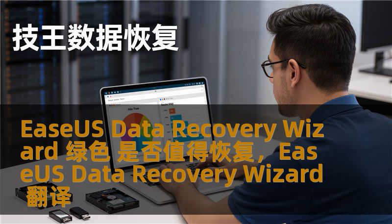 EaseUS Data Recovery Wizard 绿色 是否值得恢复，EaseUS Data Recovery Wizard 翻译