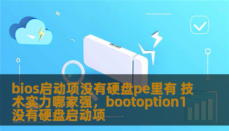 bios启动项没有硬盘pe里有 技术实力哪家强，bootoption1没有硬盘启动项