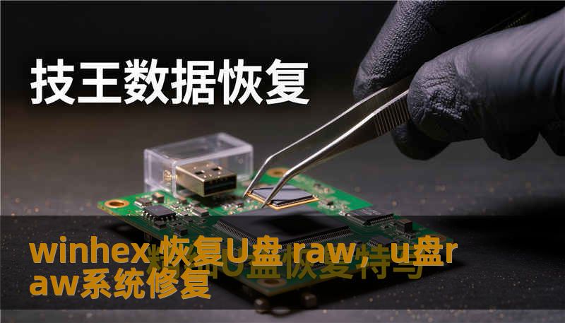 winhex 恢复U盘 raw,u盘raw系统修复 winhex 恢复U盘 raw,u盘raw系统修复
