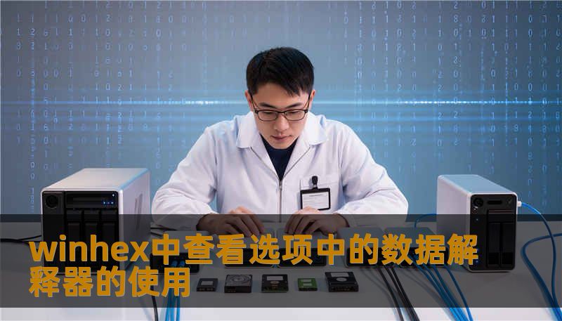 winhex中查看选项中的数据解释器的使用