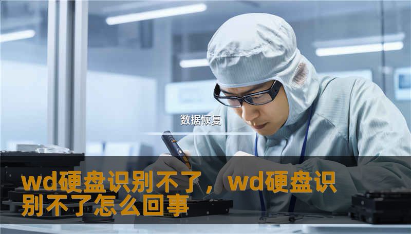 wd硬盘识别不了，wd硬盘识别不了怎么回事
