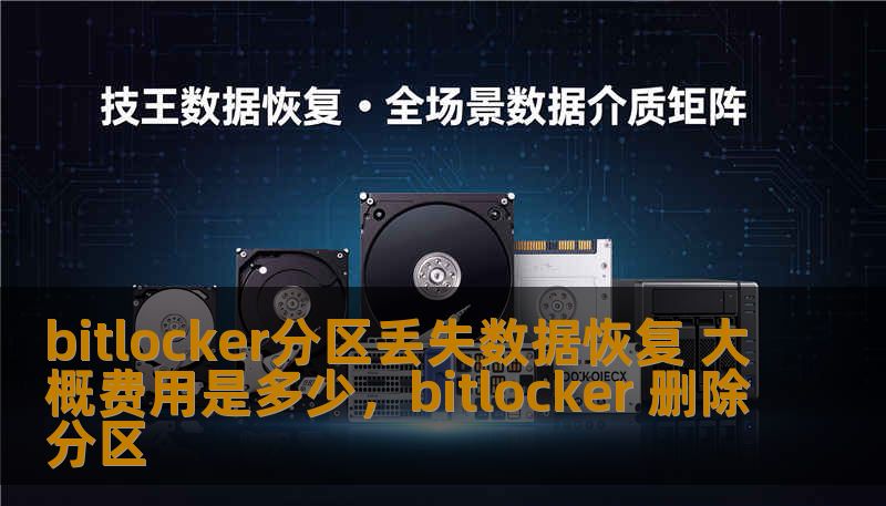 bitlocker分区丢失数据恢复 大概费用是多少，bitlocker 删除分区