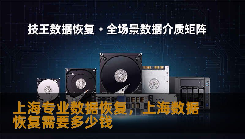 上海专业数据恢复,上海数据恢复需要多少钱 上海专业数据恢复,上海数据恢复需要多少钱