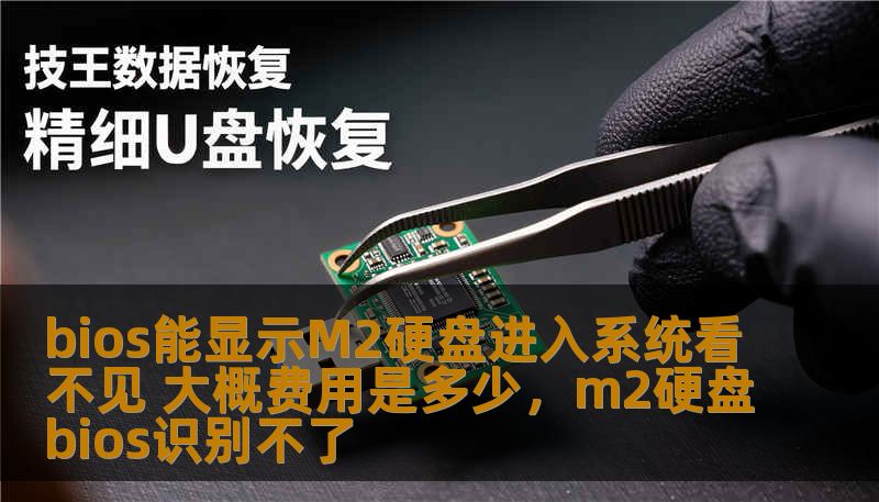 bios能显示M2硬盘进入系统看不见 大概费用是多少,m2硬盘bios识别不了 bios能显示M2硬盘进入系统看不见 大概费用是多少,m2硬盘bios识别不了