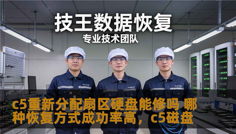 c5重新分配扇区硬盘能修吗 哪种恢复方式成功率高，c5磁盘