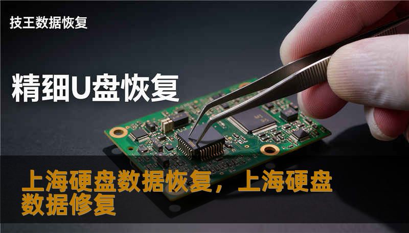 上海硬盘数据恢复,上海硬盘数据修复 上海硬盘数据恢复,上海硬盘数据修复