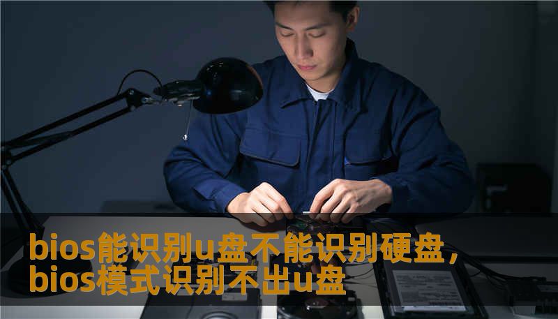 bios能识别u盘不能识别硬盘,bios模式识别不出u盘 bios能识别u盘不能识别硬盘,bios模式识别不出u盘