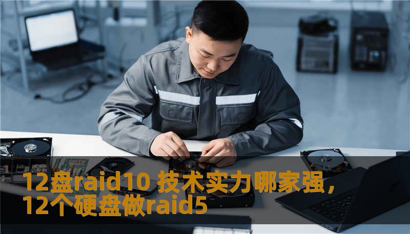 12盘raid10 技术实力哪家强,12个硬盘做raid5 12盘raid10 技术实力哪家强,12个硬盘做raid5