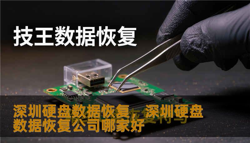 深圳硬盘数据恢复,深圳硬盘数据恢复公司哪家好 深圳硬盘数据恢复,深圳硬盘数据恢复公司哪家好
