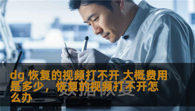 dg 恢复的视频打不开 大概费用是多少，恢复的视频打不开怎么办