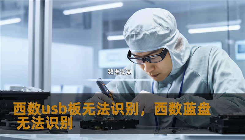 西数usb板无法识别，西数蓝盘 无法识别