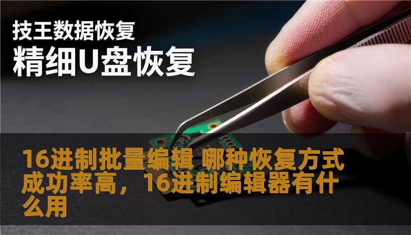 16进制批量编辑 哪种恢复方式成功率高,16进制编辑器有什么用 16进制批量编辑 哪种恢复方式成功率高,16进制编辑器有什么用