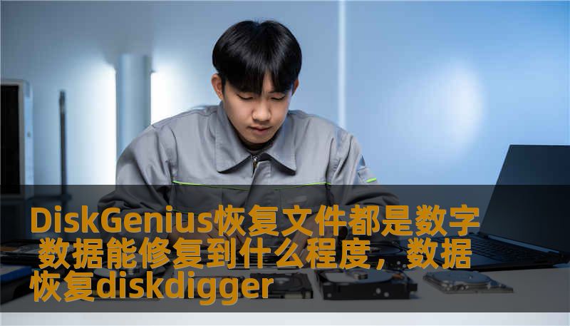 DiskGenius恢复文件都是数字 数据能修复到什么程度，数据恢复diskdigger