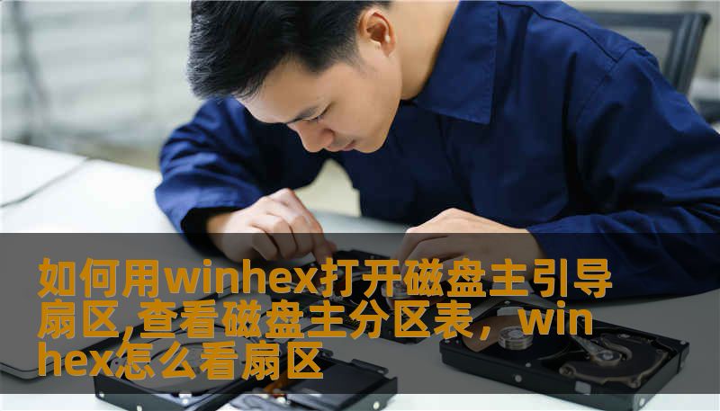 如何用winhex打开磁盘主引导扇区,查看磁盘主分区表，winhex怎么看扇区