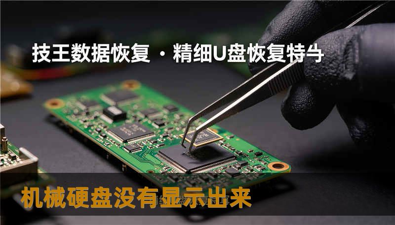 机械硬盘没有显示出来