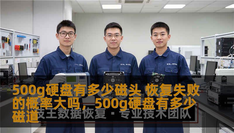 500g硬盘有多少磁头 恢复失败的概率大吗,500g硬盘有多少磁道 500g硬盘有多少磁头 恢复失败的概率大吗,500g硬盘有多少磁道